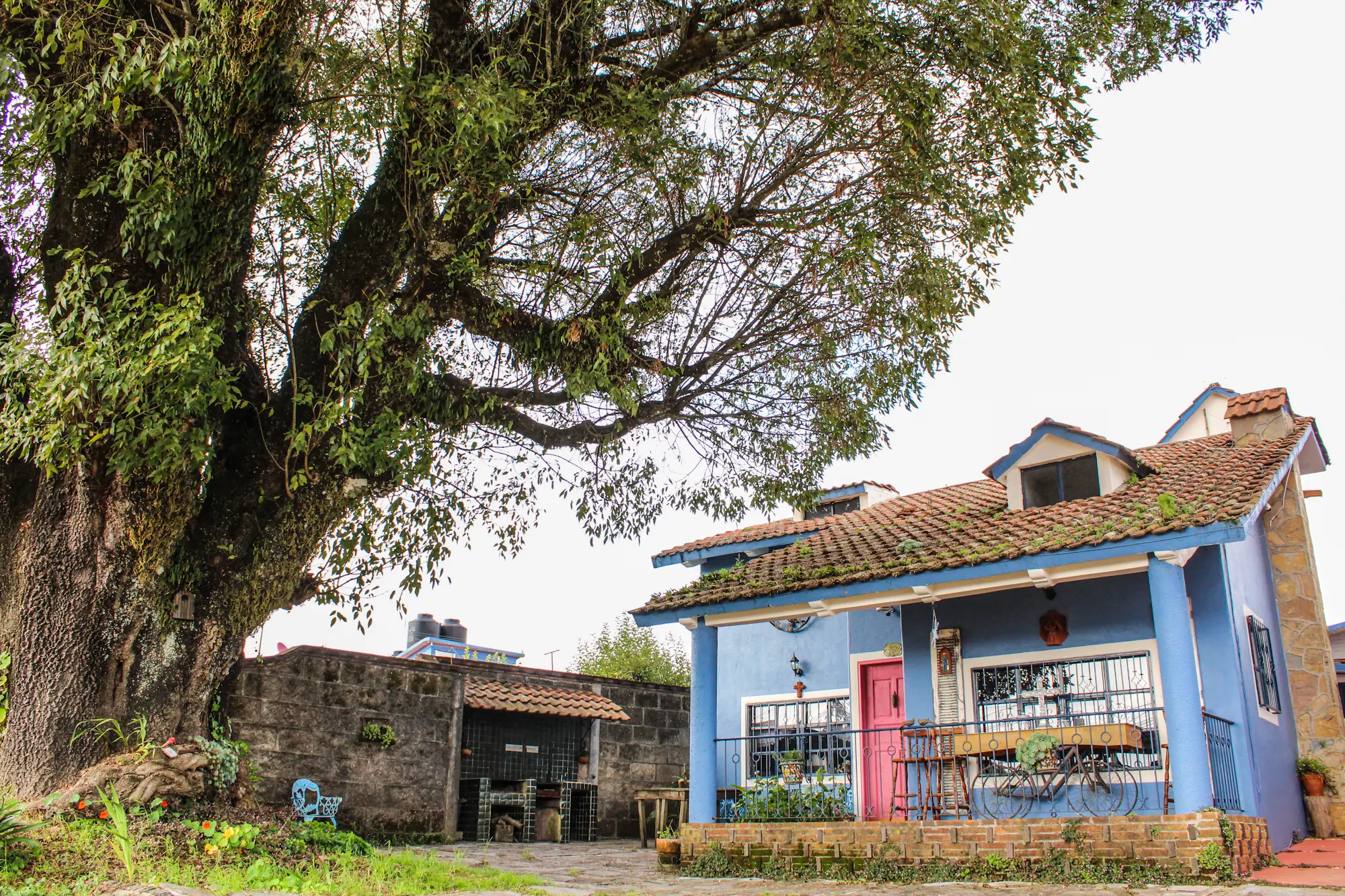 023_CASA_ARBOL_-23-pueblo-sjq